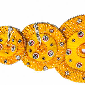Laddu Gopal Poshak