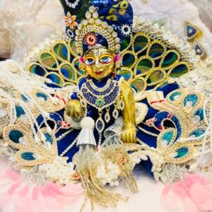 Laddu Gopal ji